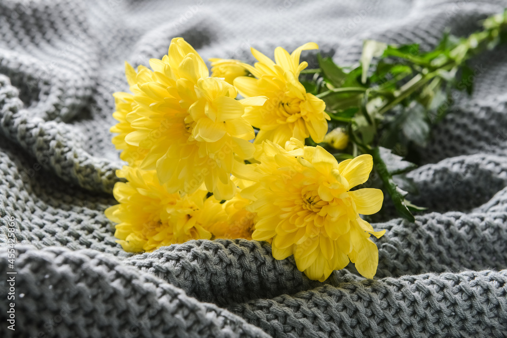 Beautiful flowers on knitted plaid, closeup