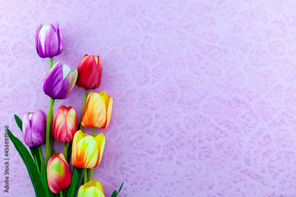 紫色纸背景上的一束五颜六色的郁金香春季插花背景