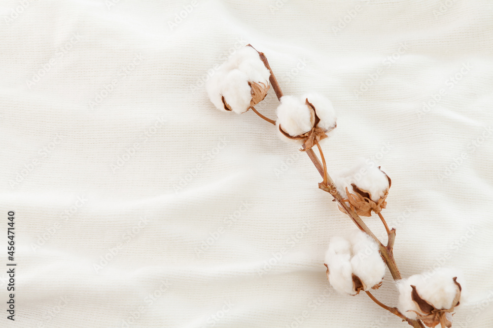 白色棉质面料上的棉质树枝，棉质背景。