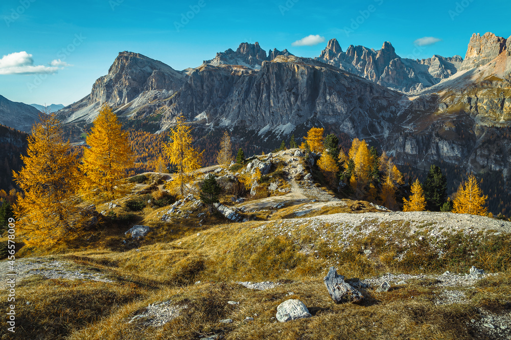 意大利多洛米蒂，色彩缤纷的落叶松，令人惊叹的景色和秋景
