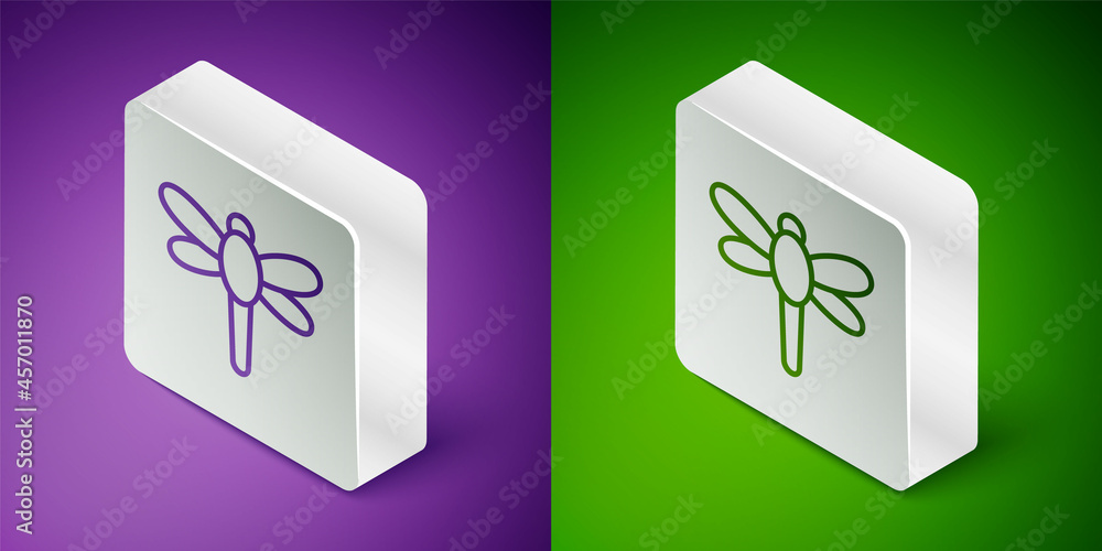 等距线蜻蜓图标隔离在紫色和绿色背景上。银色方形按钮。矢量