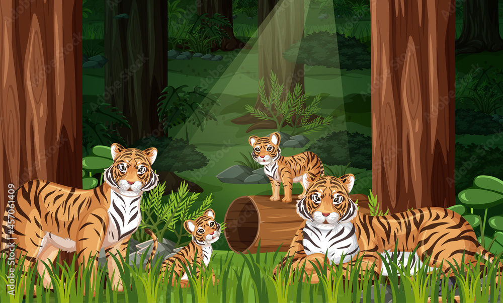森林景观背景中的老虎家族