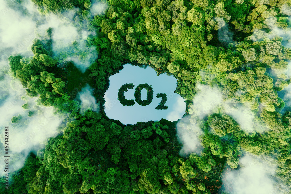 以po的形式描述二氧化碳排放问题及其对自然的影响的概念