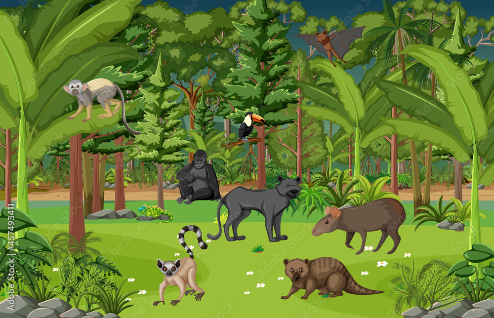 热带雨林中各种野生动物的场景
