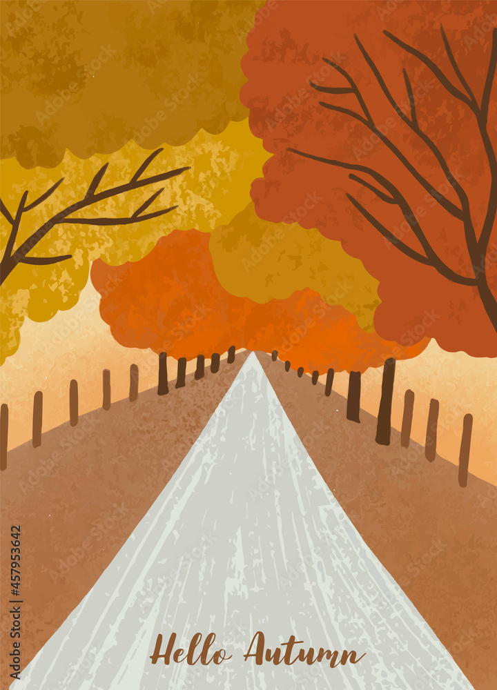 秋天的森林背景有树、树叶、天空、道路