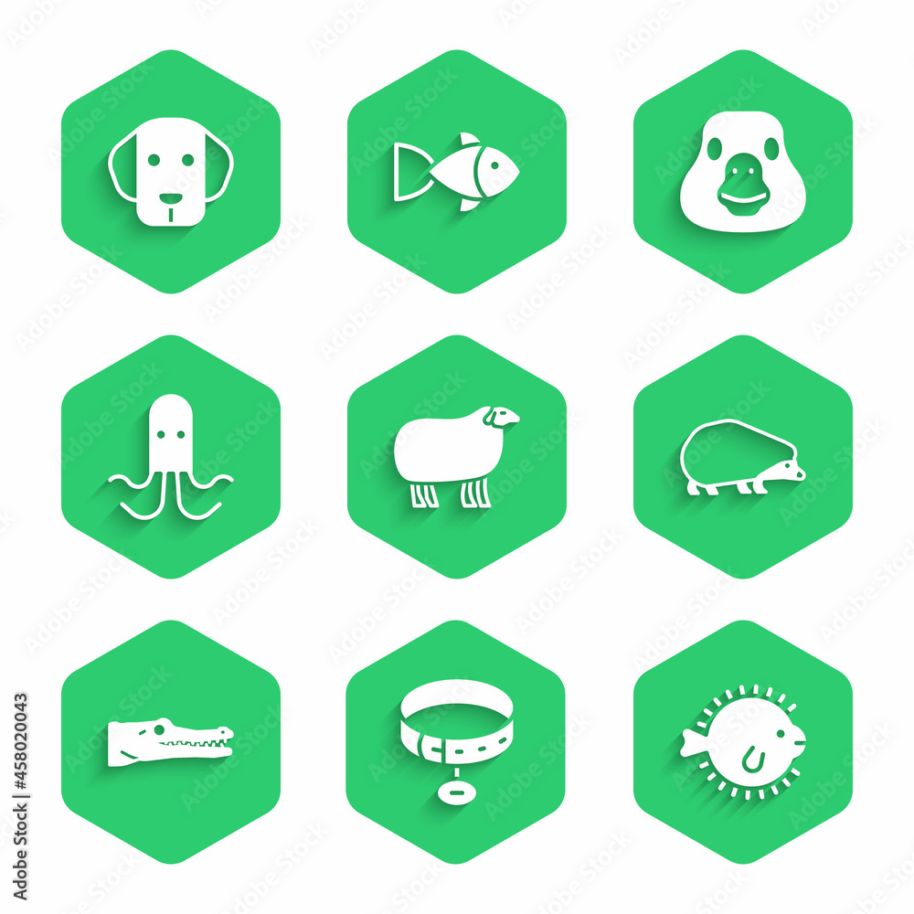 Set Sheep, Collar with name tag, Puffer fish, Hedgehog, Crocodile, Octopus, Goose bird and Dog icon.