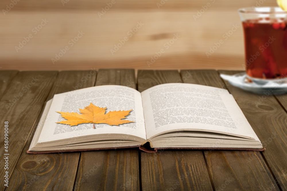 秋天，一张乡村木桌上放着一本空白日记，里面放着一杯茶