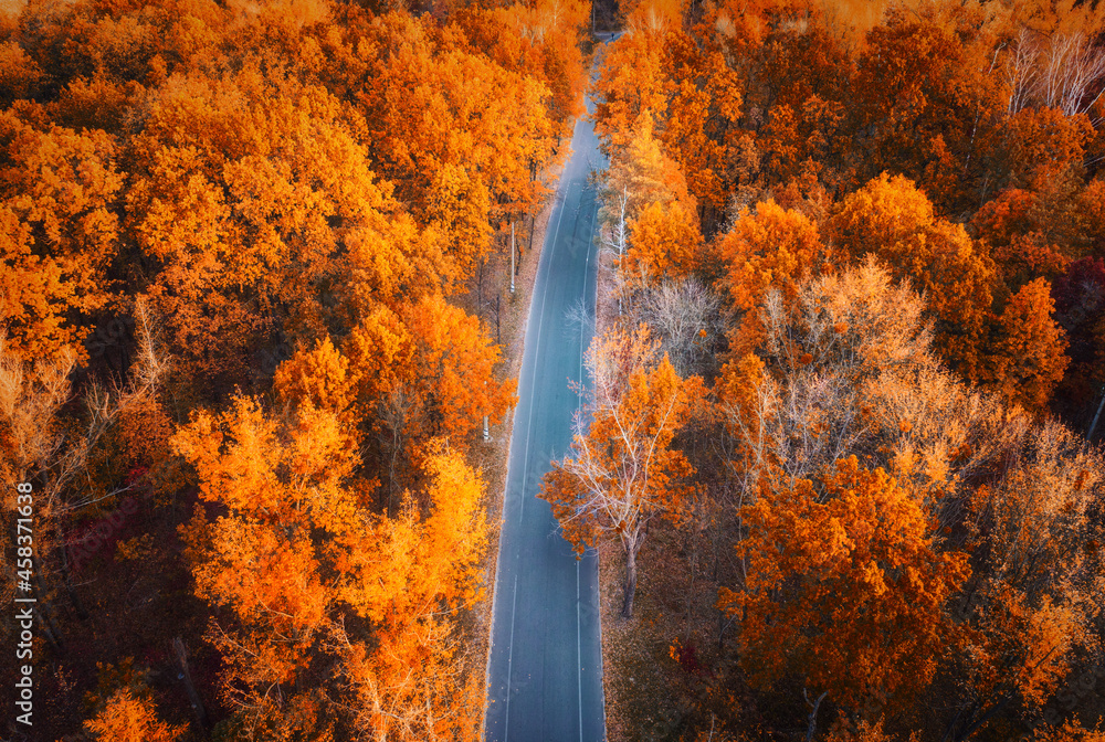 秋天日落时美丽森林中道路的鸟瞰图。年沥青道路的无人机俯视图