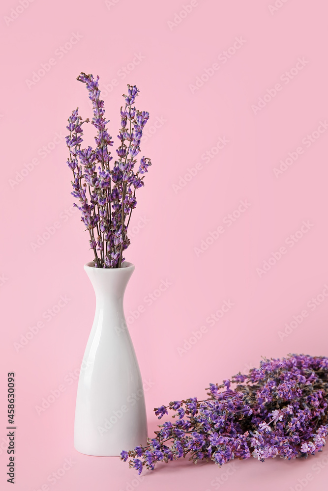 美丽的淡紫色花朵在彩色背景上