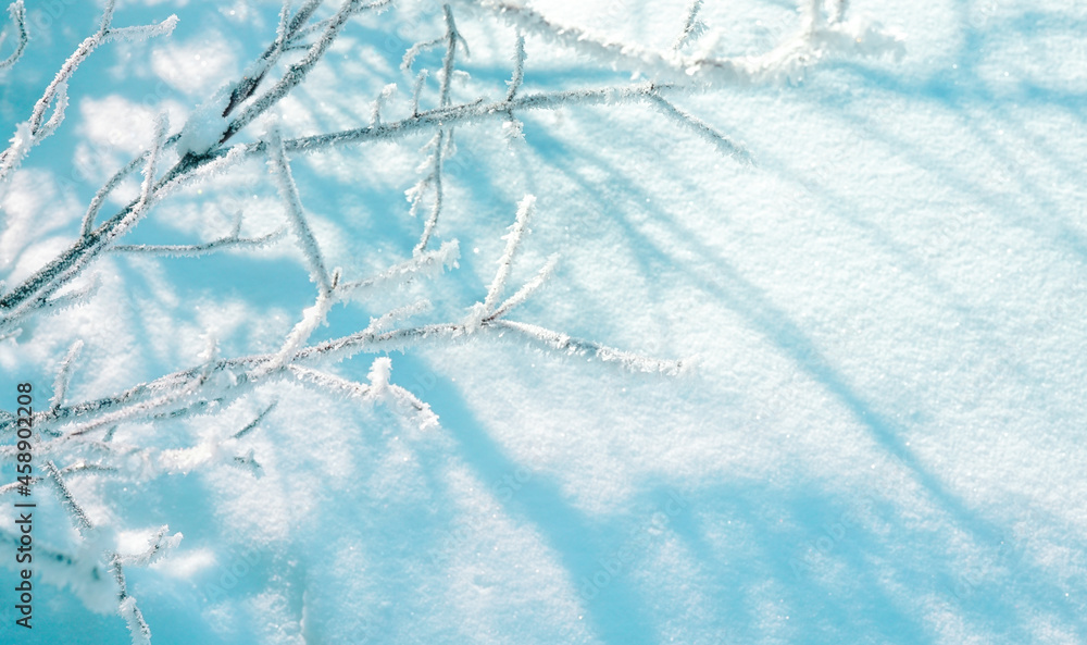 白雪皑皑的冬天的美丽图像——在大自然的映衬下，灌木或树枝被霜冻覆盖