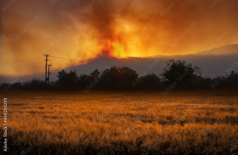 乡村景观，夜间有戏剧性的野火，前景是麦田