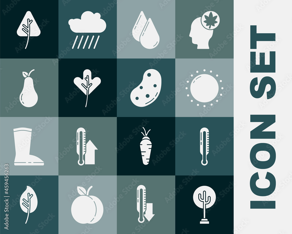 Set Tree, Meteorology thermometer, Sun, Water drop, Leaf leaves, Pear, and Potato icon. Vector