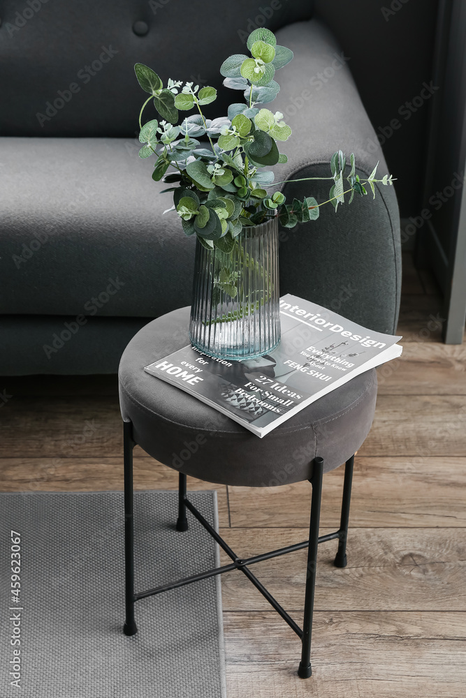 现代客厅里的带玻璃花瓶的植物和杂志的时尚椅子