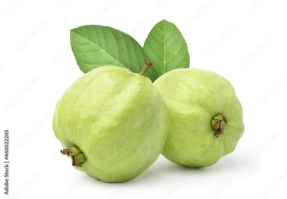 Pair of Guava fruits with leaf isolated on white background.