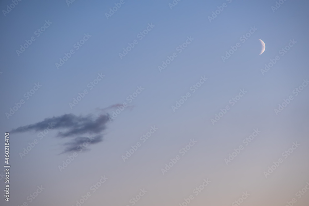 Half Moon in the morning on pink sky with clouds, blue hour. Dream of a magical evening sky with moo