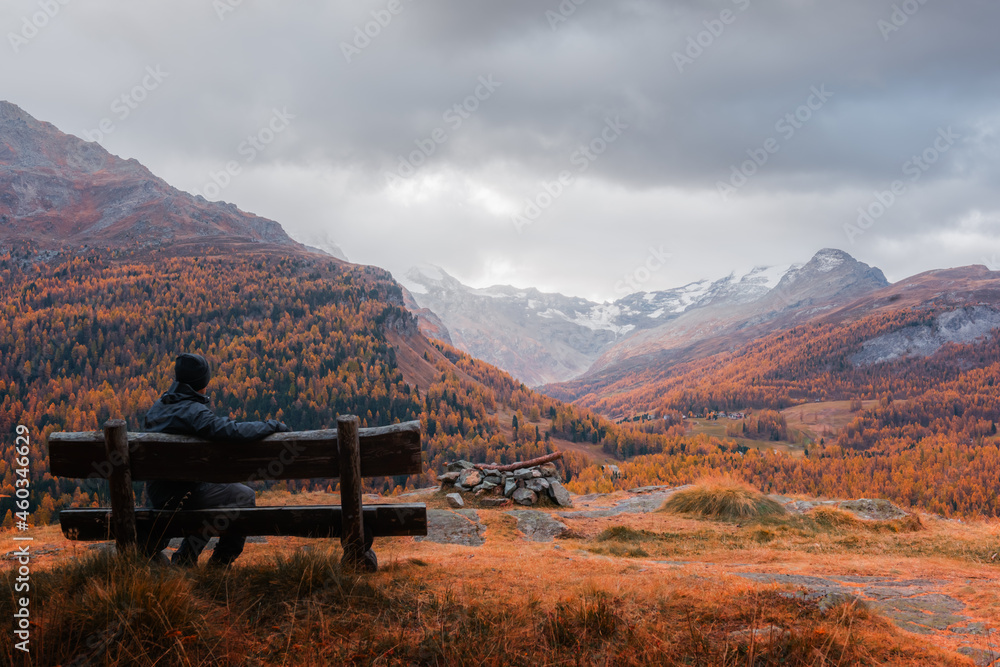 瑞士阿尔卑斯山木长椅上的游客。五颜六色的森林，后面是橙色的落叶松和雪山