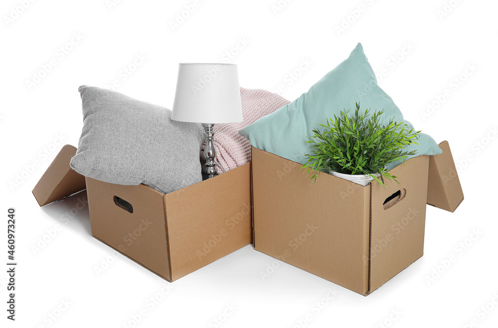 白色背景上有室内植物、枕头、灯和格子的衣柜盒子