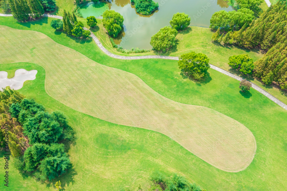 高尔夫球场上绿色草坪和森林的鸟瞰图。