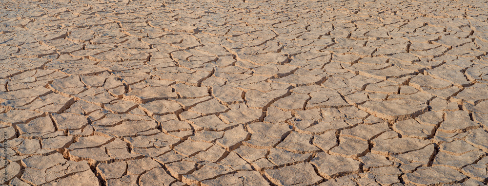 Cracked brown mud panorama, surface texture of barren land