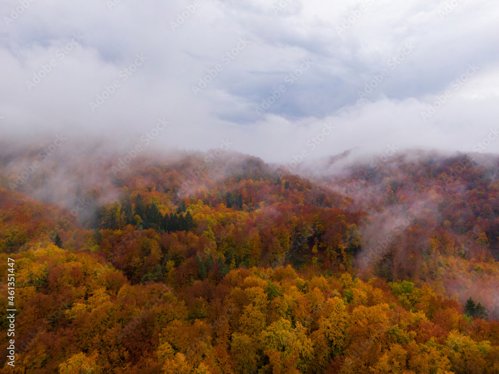 无人机：十月薄雾中森林变色的电影无人机视图