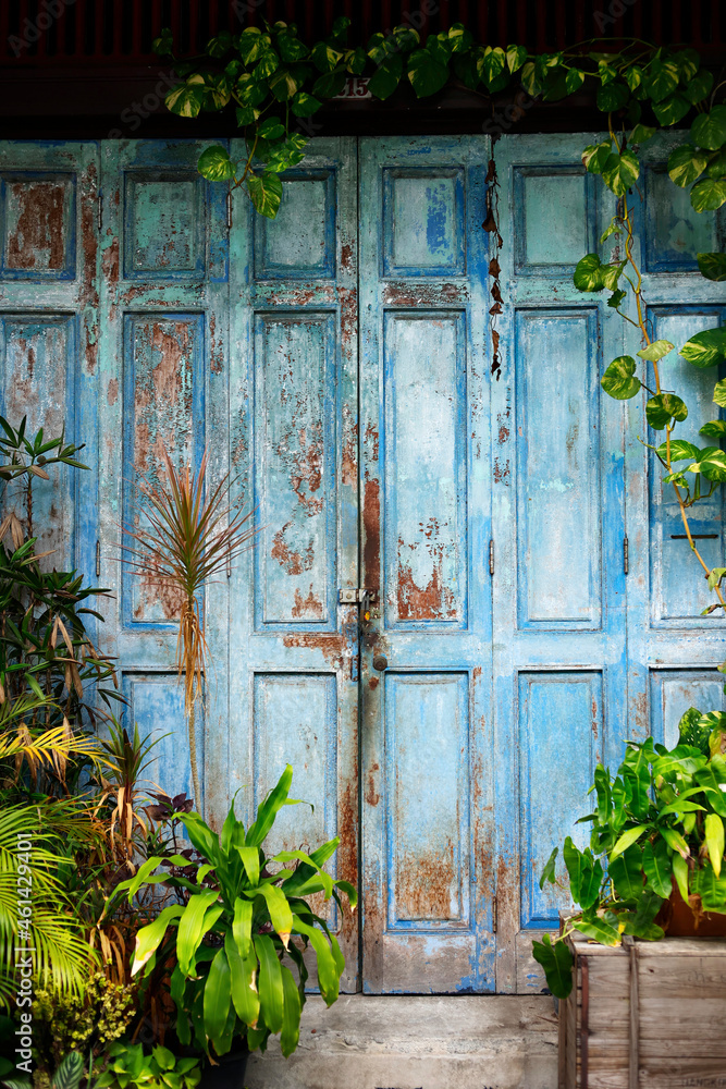 绿色植物环绕的亚洲建筑立面和古老的蓝色木门