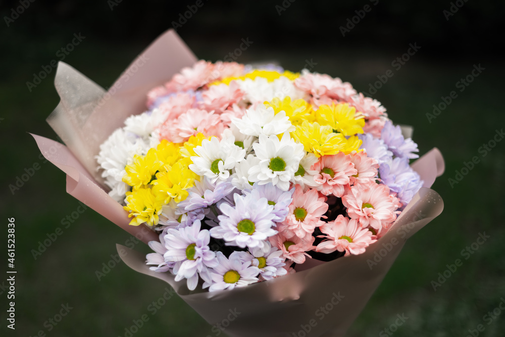 Flowers bouquet made of multicolored delicate pastel colors chrysanthemum flowers. Floral concept