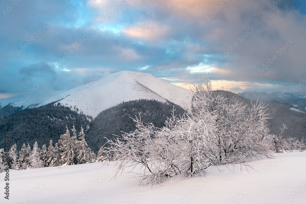 Fantastic winter landscape in snowy mountains glowing by evening sunlight. Dramatic wintry scene wit