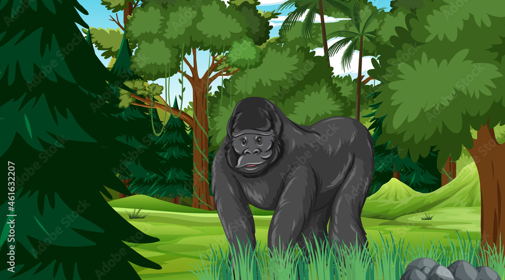 大猩猩在森林或雨林中，有很多树