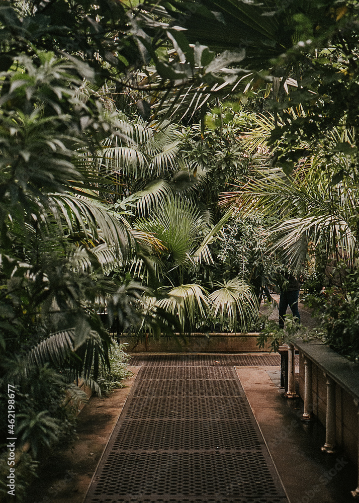 植物园穆迪温室自然照片