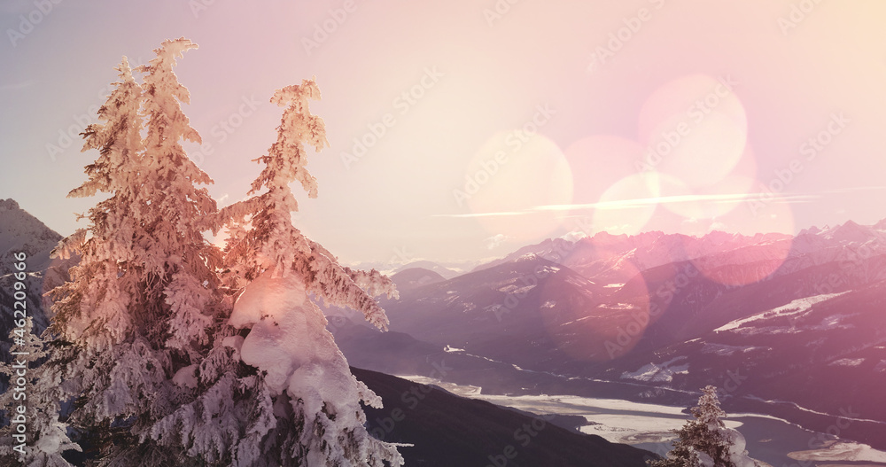 亮点山和雪覆盖的冷杉树的冬季风景景观图像