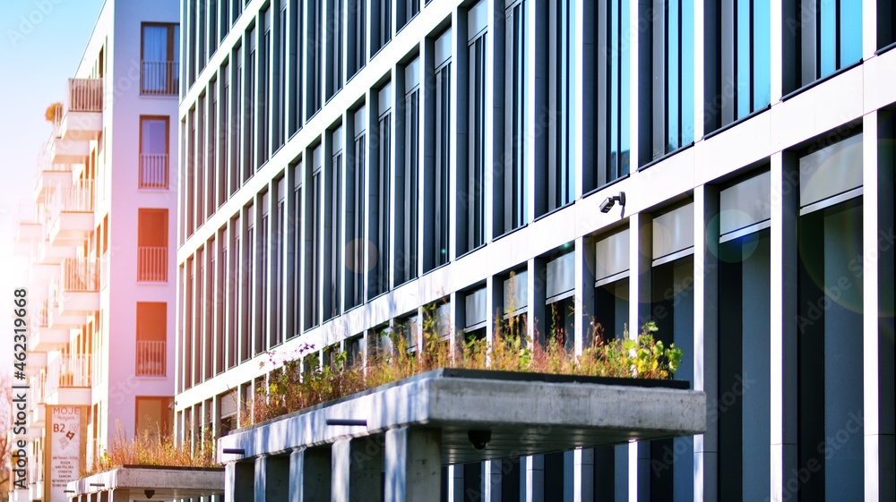生态建筑。绿树和玻璃办公楼。自然与现代的和谐。反思