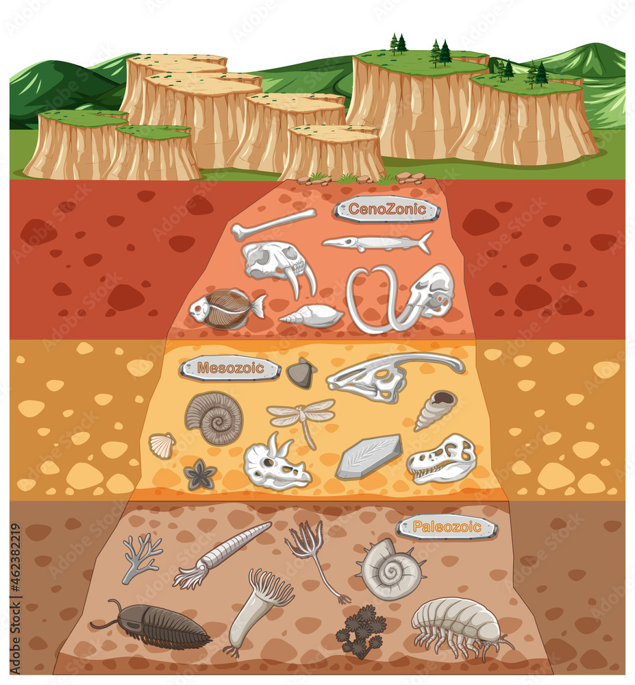 土层中各种动物骨骼和恐龙化石的场景