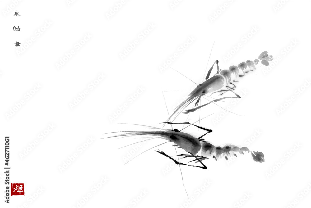 在白色背景上水墨画两只对虾。传统东方水墨画sumi-e，u-sin