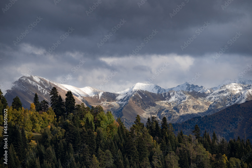 色彩缤纷的森林和高山高加索山脉的秋季山地景观。