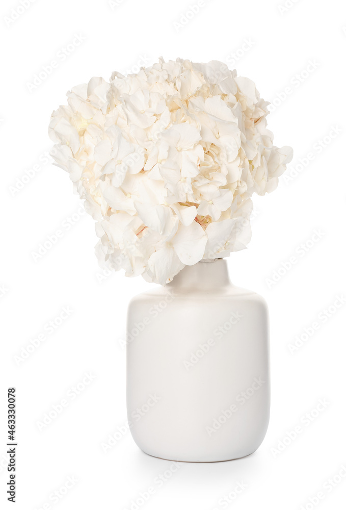 现代花瓶，白底绣球花