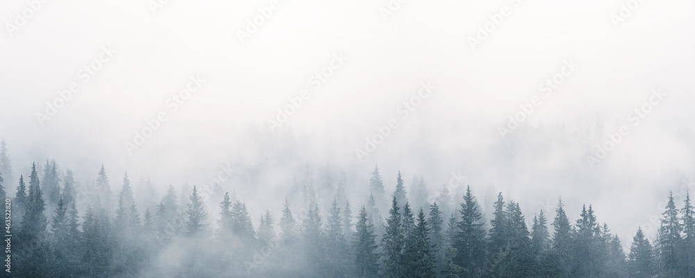 带雾的神秘景观