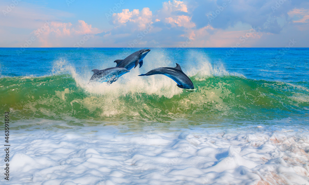 一群海豚在水面上跳跃——美丽的海景和蓝天
