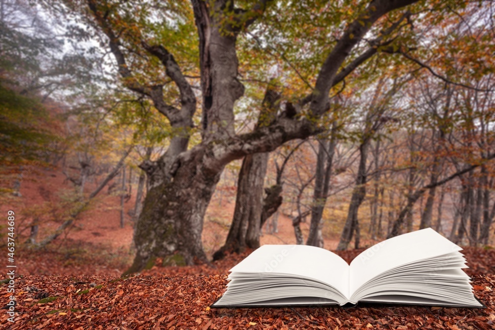 打开秋天公园背景的书，上面有秋天的落叶。