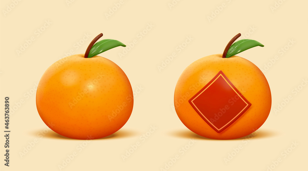 3d逼真的橘子