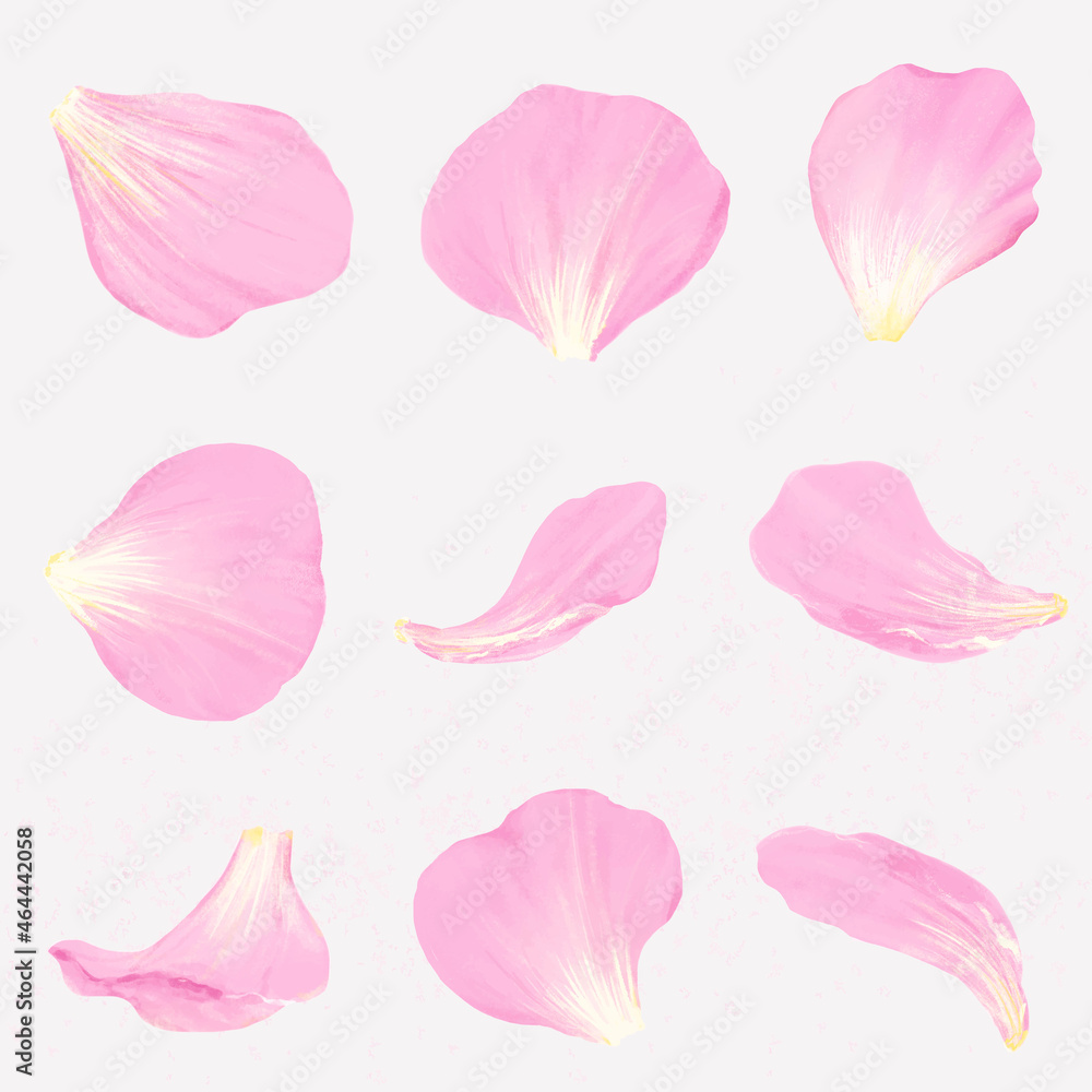 粉色花瓣插图矢量集