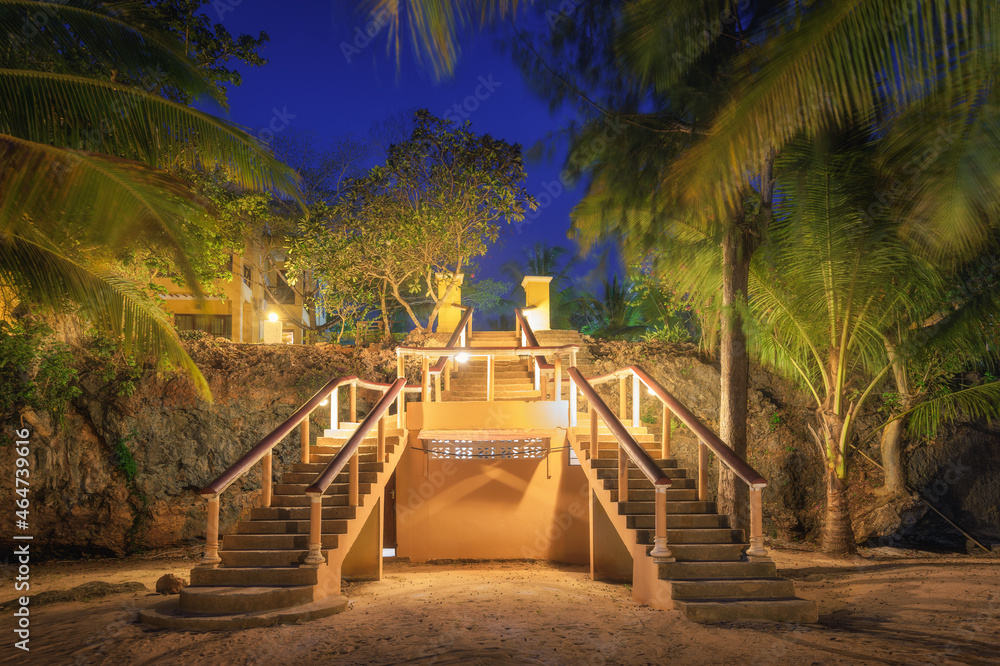 夏夜美丽热带森林中的明亮楼梯。带有st的照明路径的景观