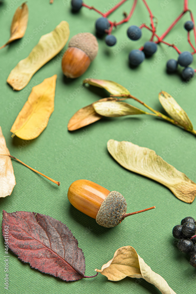 美丽的秋季构图，以橡子、浆果和森林为背景，特写