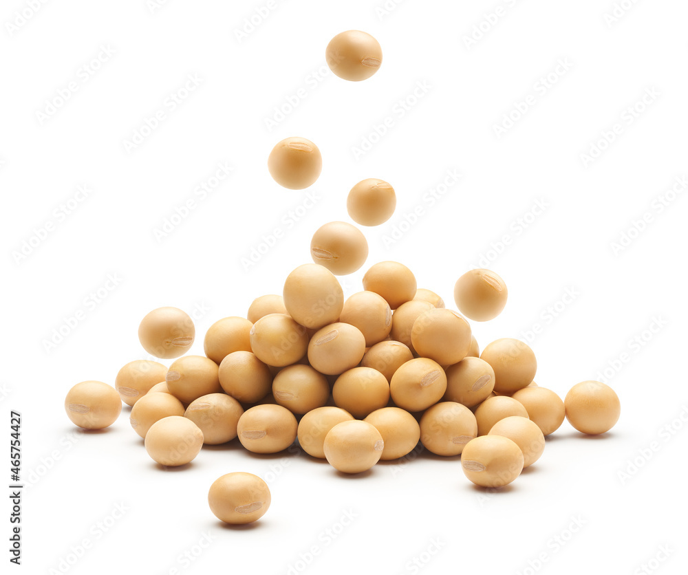 Soybean falling on heap of soybeans isolated on white background