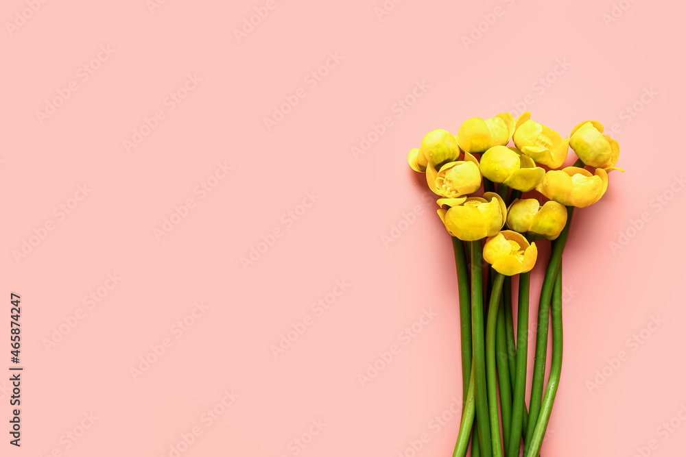 美丽的黄色莲花在彩色背景上的花束