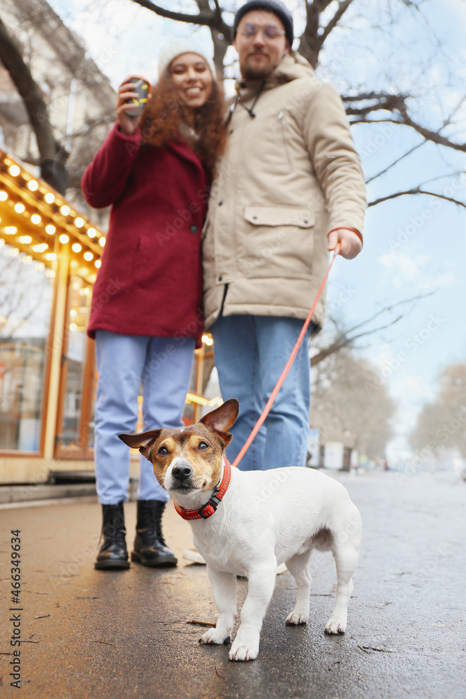幸福的年轻夫妇和狗在城市街道上