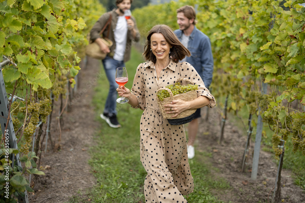 快乐的欧洲朋友在乡村葡萄园附近品尝当地葡萄酒。女人提着篮子跑