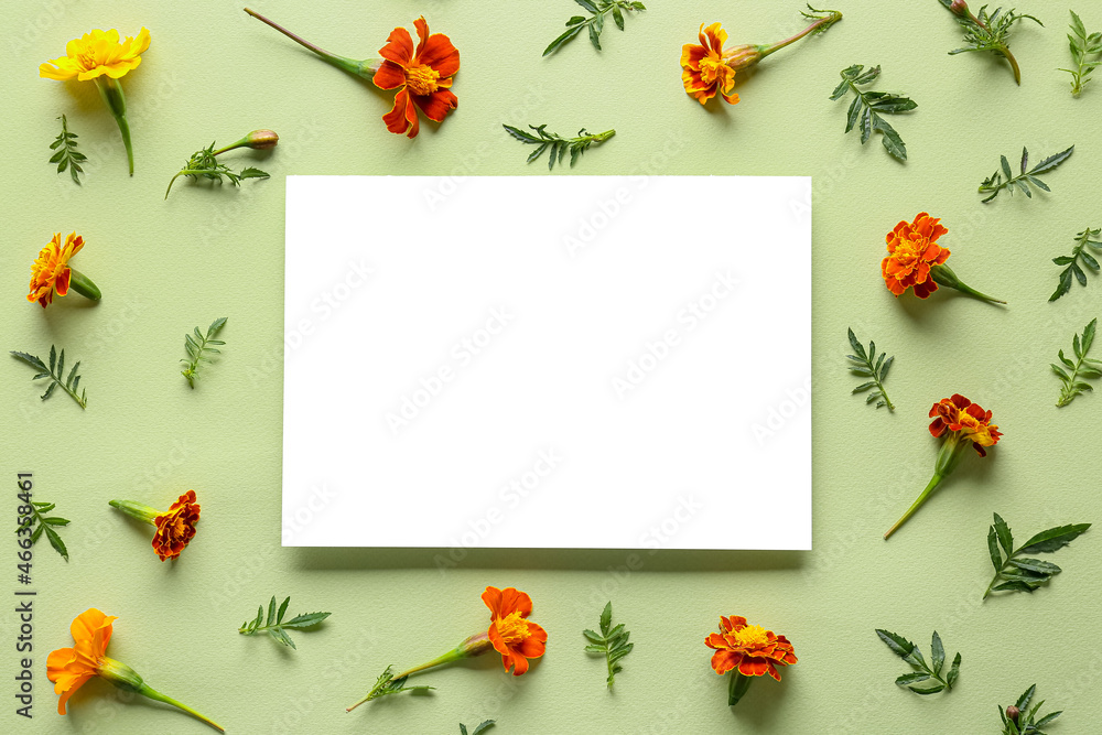 空白纸张和彩色背景上的万寿菊花，特写