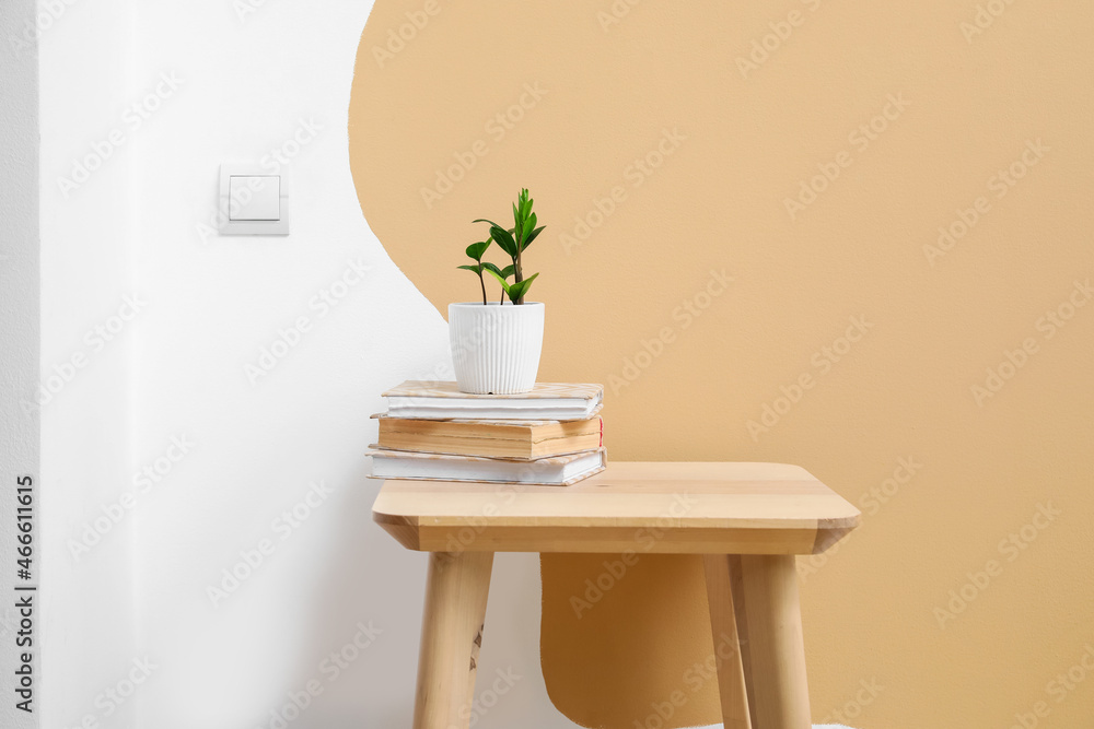 Flowerpot with books on table near color wall
