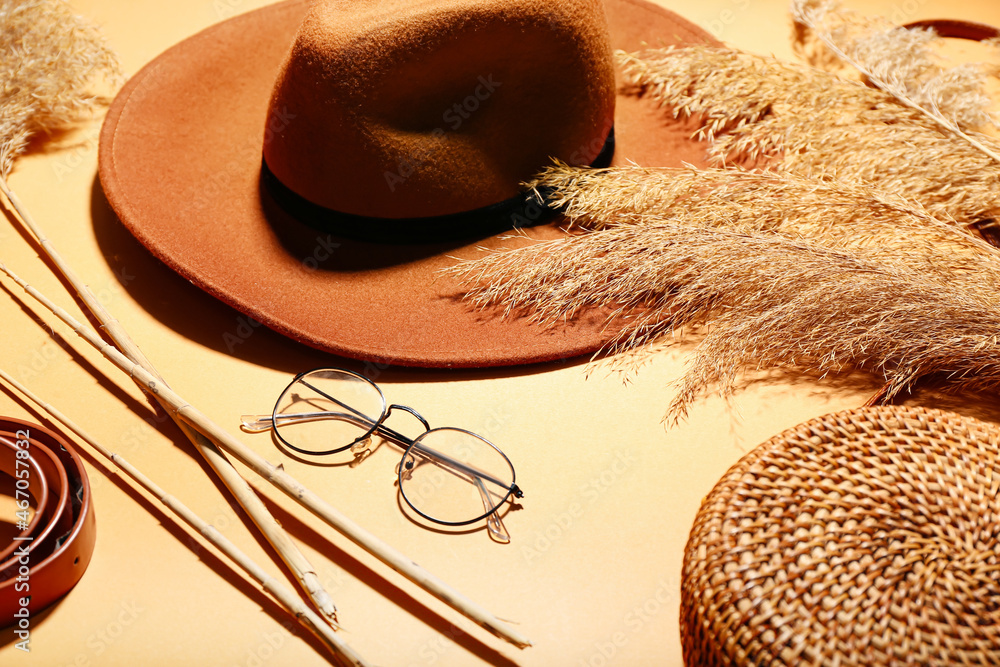 Dry common reeds, felt hat, eyeglasses and leather belt on orange background, closeup