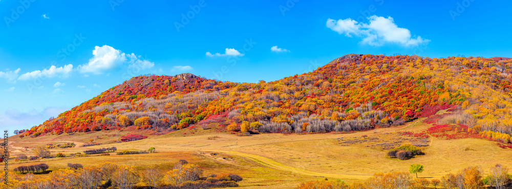 秋天五彩缤纷的森林和山脉自然景观。乌兰布统的秋色很美
